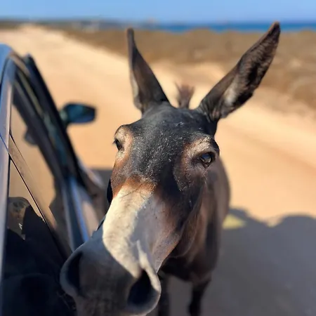 Boho Mit Meerblick * Boghaz