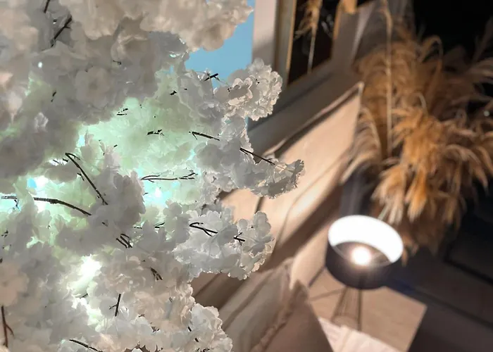 Boho Mit Meerblick Boghaz